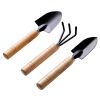 3 Pcs Wooden Handle Ga...