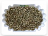 VIETNAM ROBUSTA COFFEE...