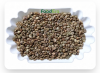 VIETNAM ROBUSTA COFFEE...