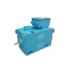 High-Voltage Nema Motor