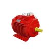 High-temperature motor