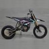 2026 Ultra Bee E-moto ...