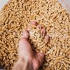 Eco Friendly Biomass W...
