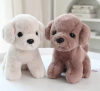 7 Inch Custom Cute Dog...