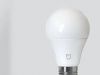 MIJIA Smart LED Bulb E...