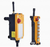 F24-12D Telecrane Elec...