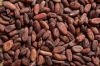 COCOA BEANS