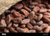 COCOA BEANS