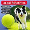 Dog Tennis Balls, Dura...