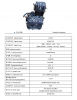 CG150 engine