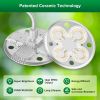 SANSI 100W Tall Standi...