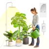 SANSI 100W Tall Standi...