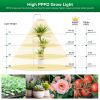 SANSI 100W Tall Standi...