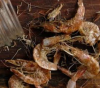 Export Quality Dried S...