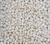 Export Quality White M...
