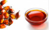 Pure Food Grade Palm O...