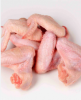 Premium Frozen Chicken...