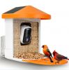 bird feeder camera