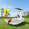 bird feeder camera