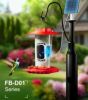 bird feeder camera