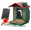 bird feeder camera