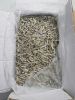 Anchovies Dried fish