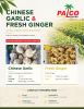 Fresh Ginger