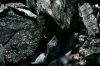 High Grade Gilsonite