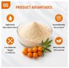 Sea Buckthorn Small Mo...