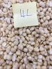 VIETNAM MACADAMIA KERNELS