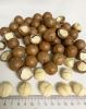 VIETNAM MACADAMIA KERNELS