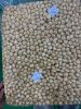 VIETNAM MACADAMIA KERNELS