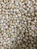 VIETNAM MACADAMIA KERNELS