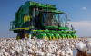 Premium Cotton Picking...