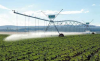 Agricultural Center Pi...