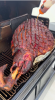 Fresh Beef Leg Wholesa...