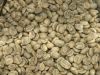  Export Green Coffee Beans | Green Coffee Bean Importer | Green Coffee Beans Buyer | Buy Green Coffee Beans | Green Coffee Bean Wholesaler | Green Coffee Bean Manufacturer | Best Green Coffee Bean Exporter | Low Price Green Coffee Beans | Best Quality Gre