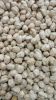 Chickpeas | White Chic...