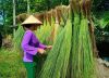 Wholesale Export Woven...