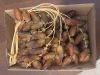 fresh dates