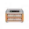 Mini egg incubator