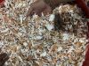 CRAB SHELL POWDER 
