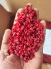 Premium Iranian Dried ...