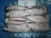 frozen squid