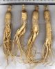 Ginseng