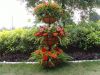 3TIER COCO PLANTER