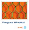 Hexagonal Wire Netting