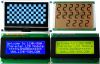 LCD Module