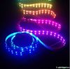 Horse Race LED Strip 