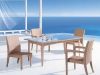 Patio Hot Sale Rattan Dining dining set C046